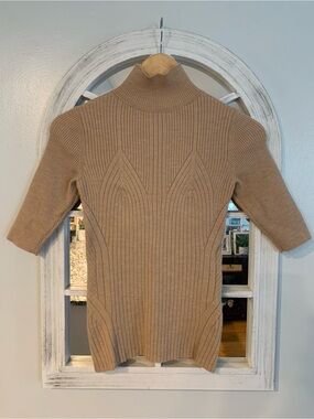 Neutral Ribbed Merino Blend Turtleneck Top